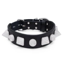 Pyramid Iced Dog Collar -King Ice Shop pyramid iced dog collar white gold king ice 31307861721263